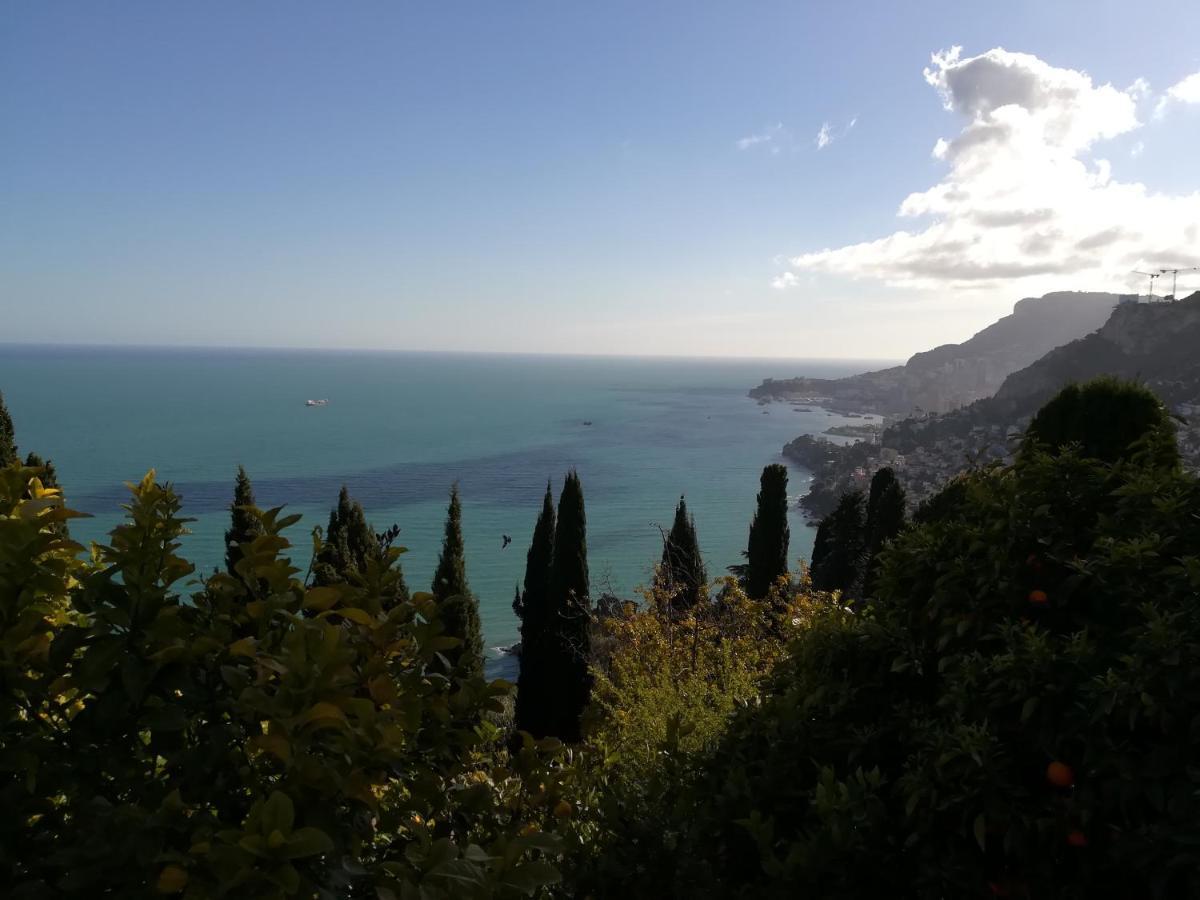 Monaco'S Cottage & Spa Roquebrune-Cap-Martin Exterior photo